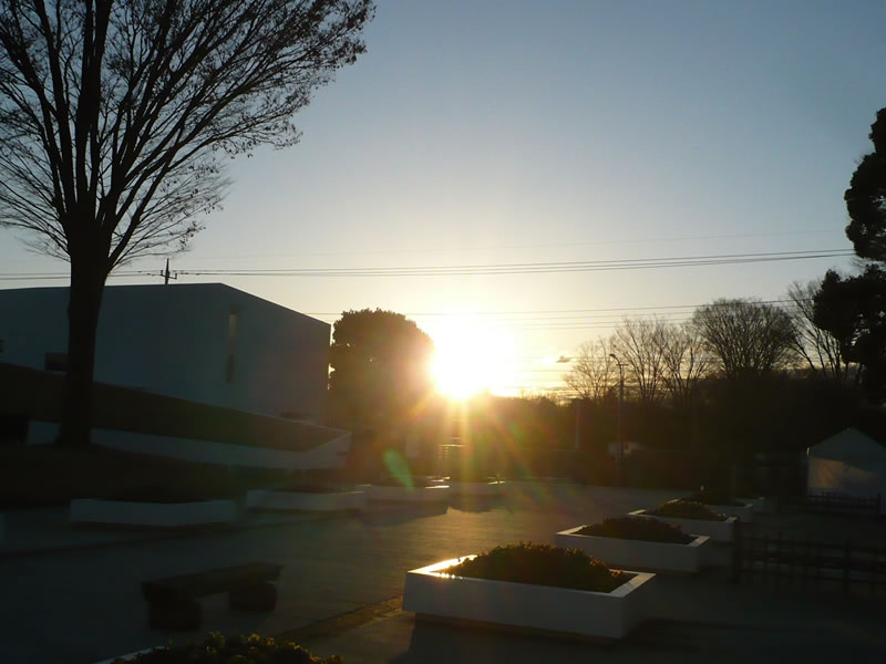 霊園内の風景