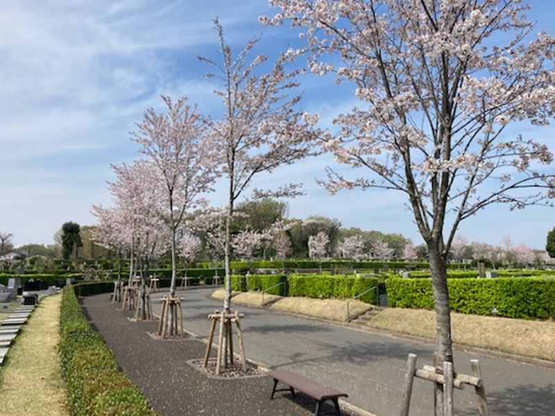 霊園内の風景